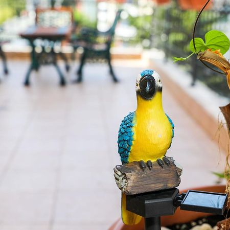 Family Hotel Deykin 써니비치 외부 사진
